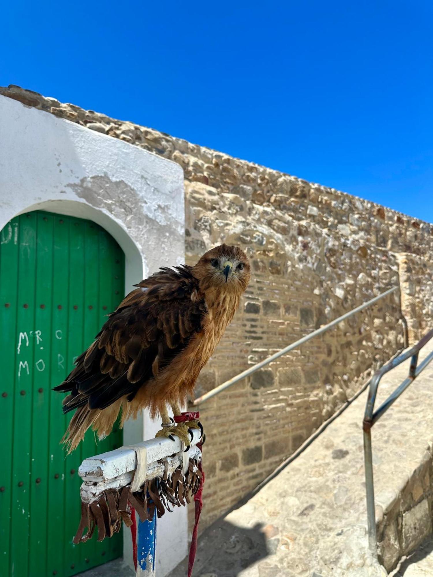 Asilah Vip - Haut Standing - Vue Mer - Piscines - Plage A 5 Minute - Garage Privee - Acces Pmr Esterno foto